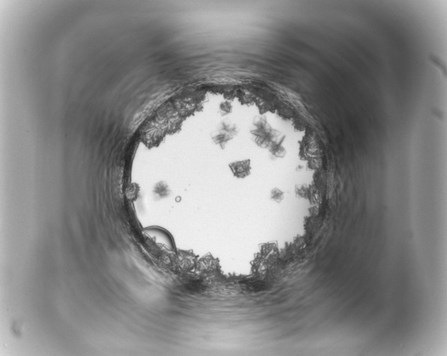 X0000100220299200806271733