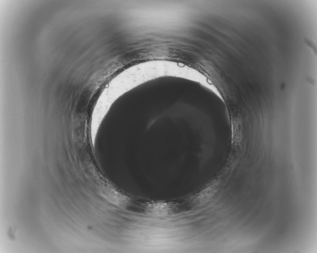 X0000100220301200806271733