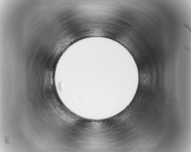 X0000100220302200806271733