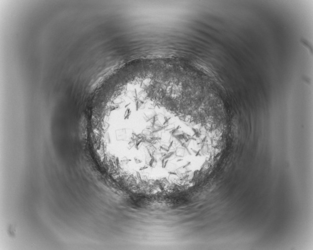 X0000100220303200806271733