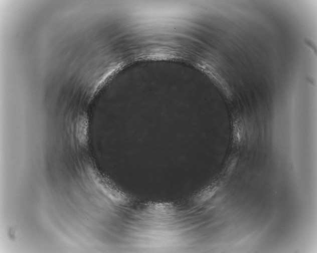 X0000100220304200806271733