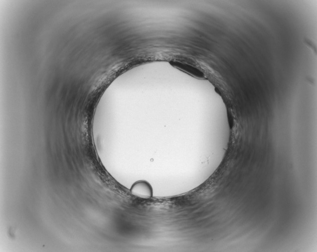 X0000100220306200806271733