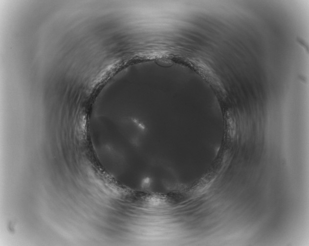 X0000100220308200806271733