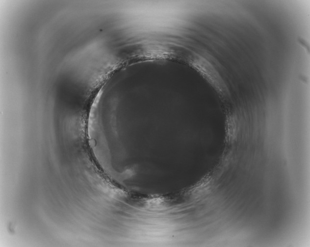 X0000100220309200806271733