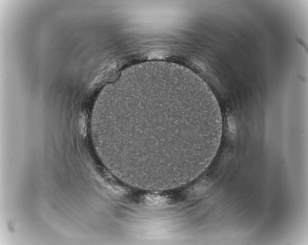 X0000100220311200806271733