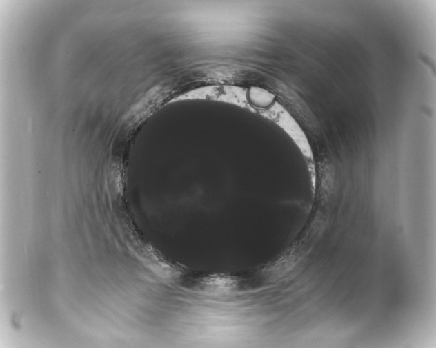 X0000100220313200806271733