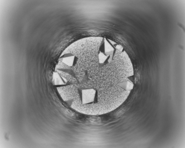 X0000100220317200806271733