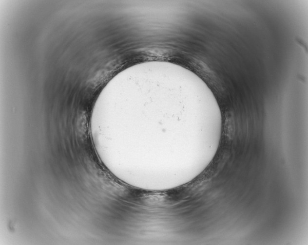 X0000100220318200806271733