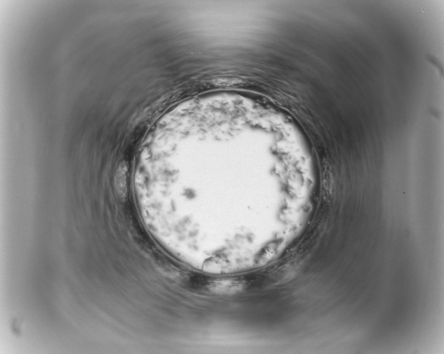 X0000100220319200806271733