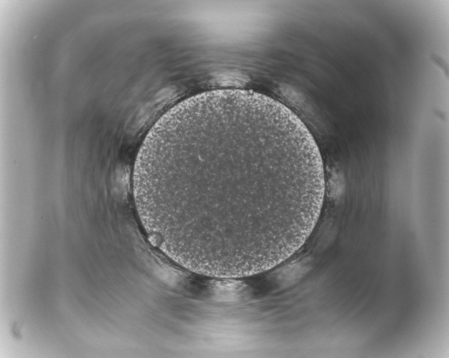 X0000100220321200806271733