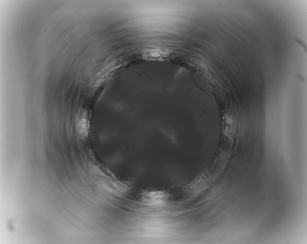 X0000100220324200806271733