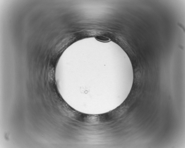 X0000100220325200806271733