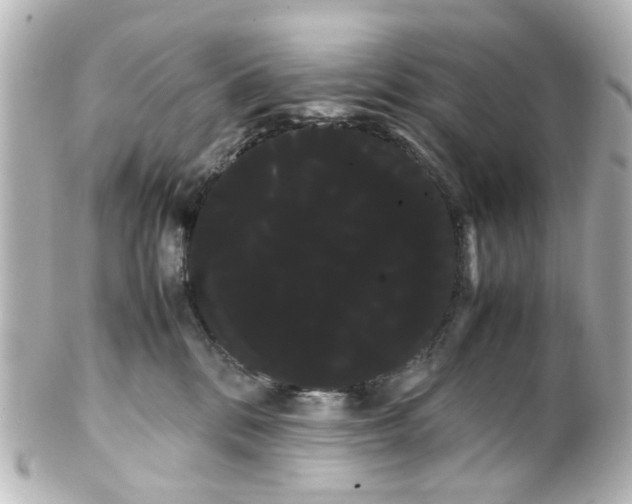 X0000100220328200806271733