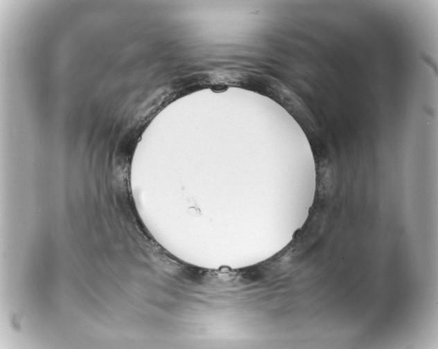 X0000100220329200806271733