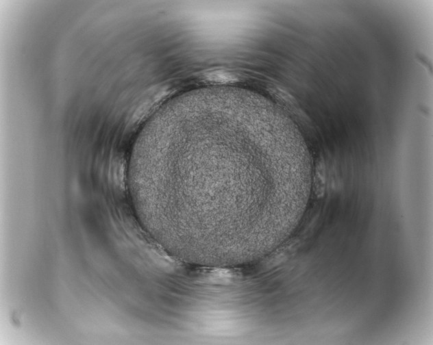 X0000100220330200806271733