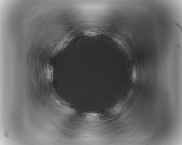 X0000100220332200806271733