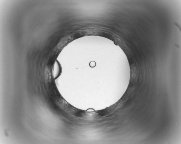 X0000100220333200806271733