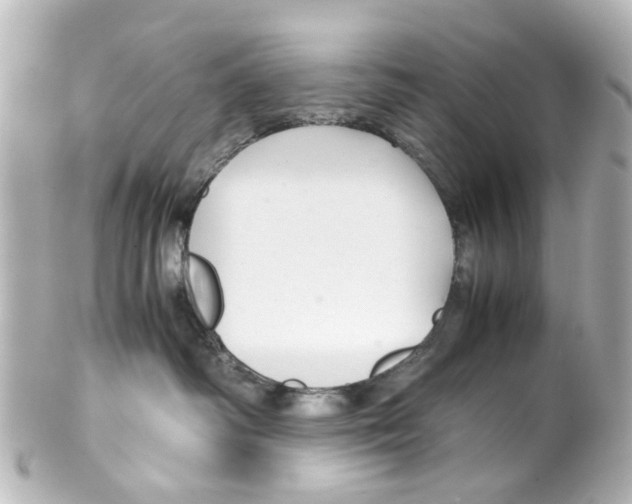 X0000100220334200806271733