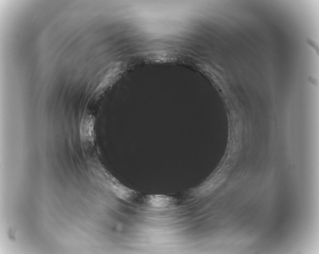 X0000100220336200806271733