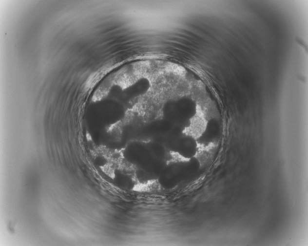 X0000100220337200806271732