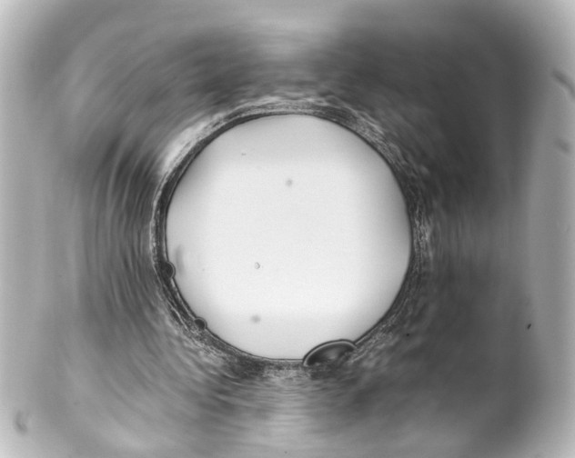 X0000100220340200806271732