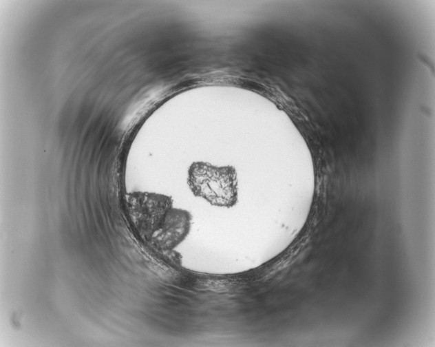 X0000100220341200806271732