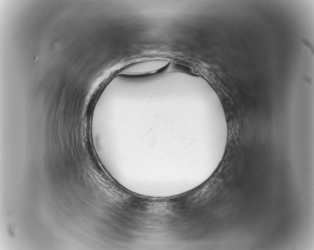 X0000100220342200806271732