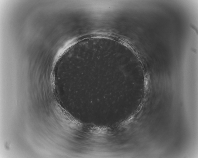 X0000100220343200806271732