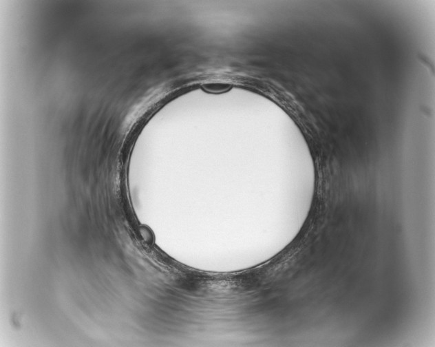 X0000100220344200806271732