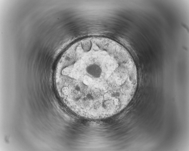 X0000100220346200806271732