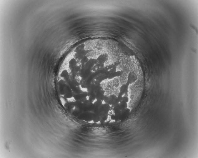 X0000100220347200806271732