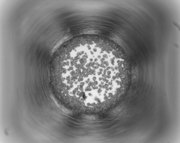 X0000100220349200806271732