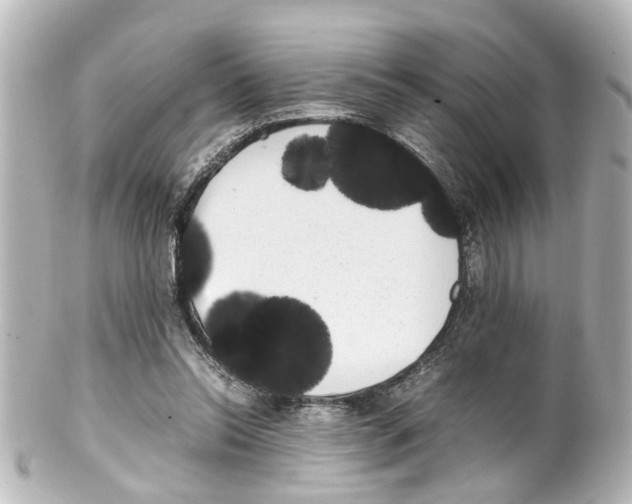 X0000100220350200806271732