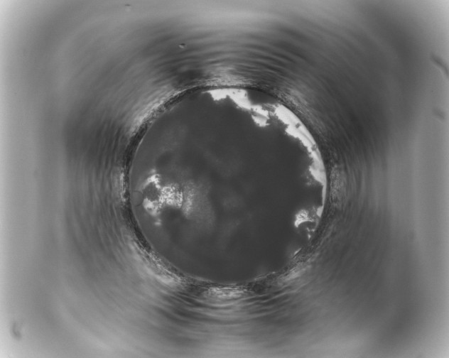 X0000100220351200806271732