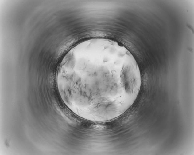 X0000100220352200806271732