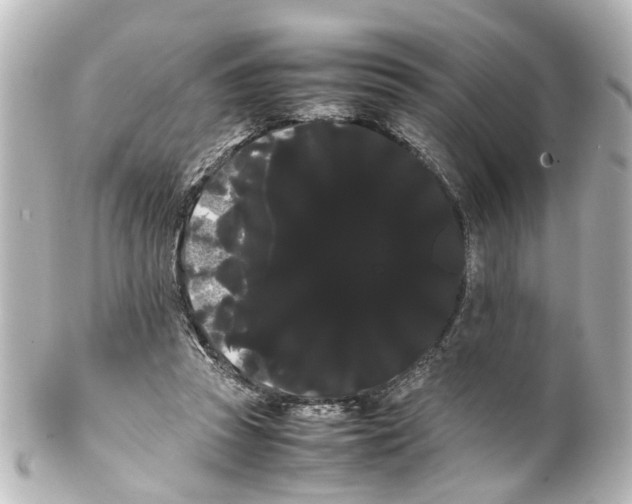 X0000100220353200806271732