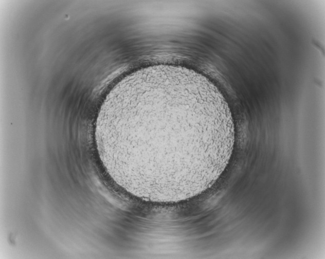 X0000100220356200806271732