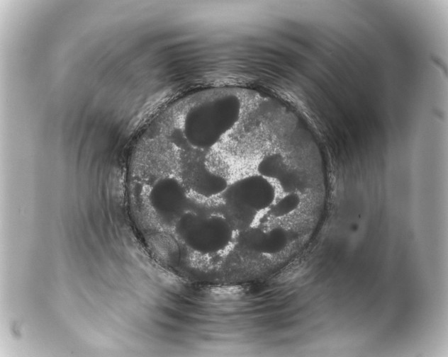 X0000100220357200806271732