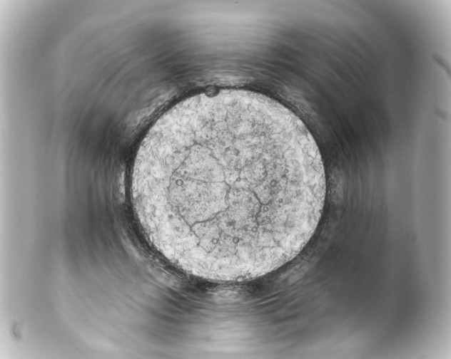 X0000100220358200806271732