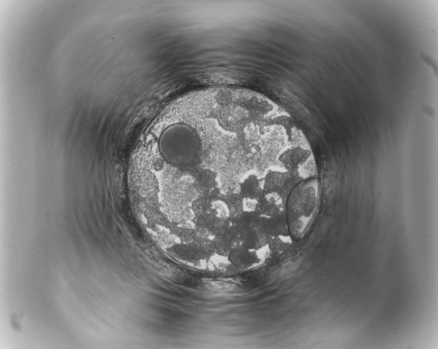 X0000100220359200806271732