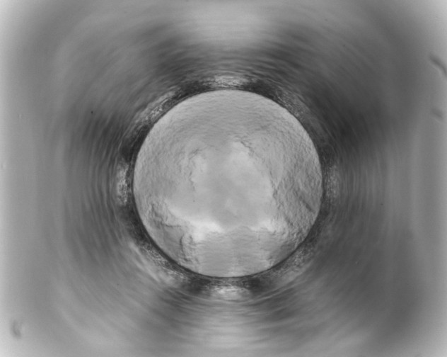 X0000100220360200806271732