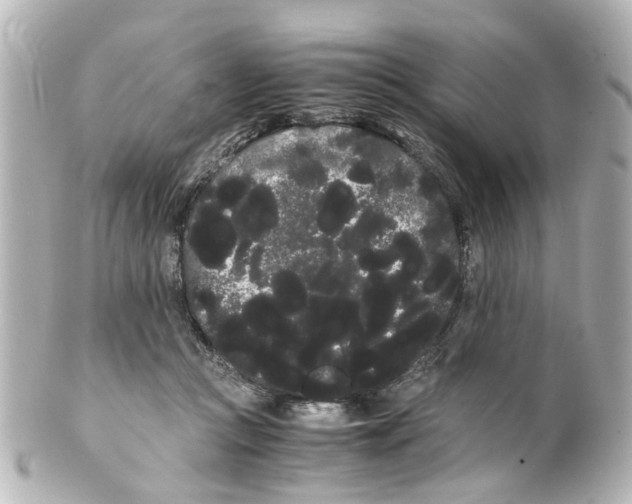 X0000100220361200806271732