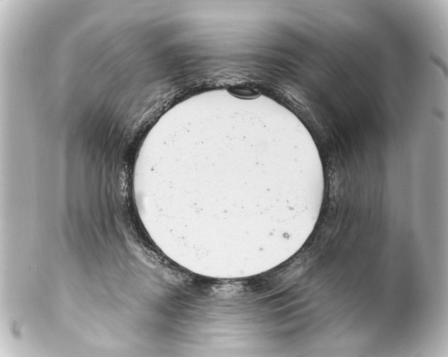 X0000100220362200806271732