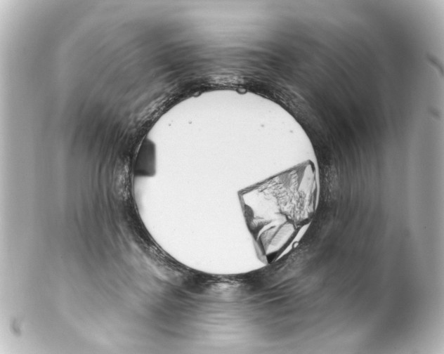 X0000100220364200806271732