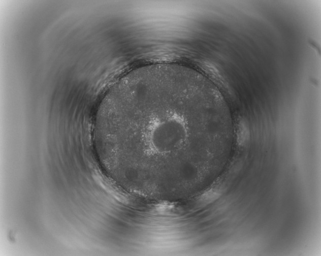 X0000100220366200806271732