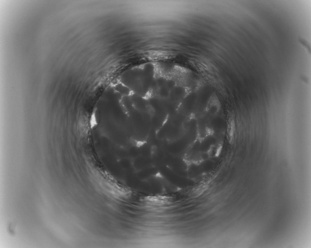 X0000100220367200806271732