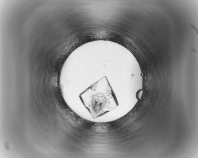 X0000100220368200806271732