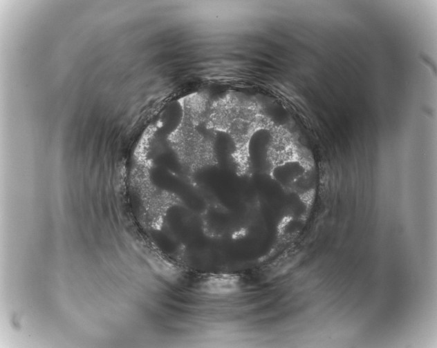 X0000100220369200806271732