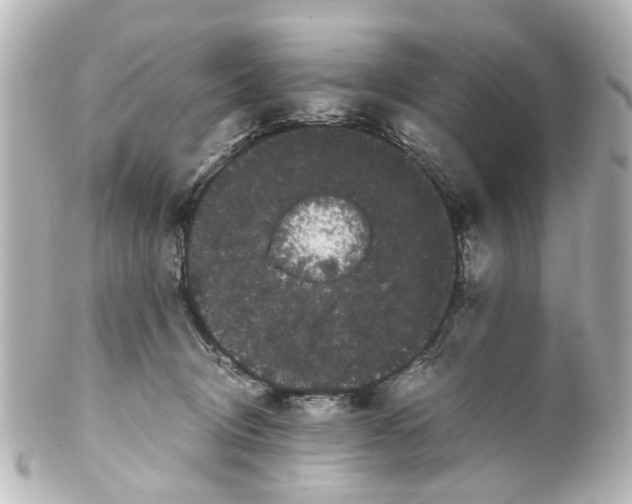 X0000100220370200806271732