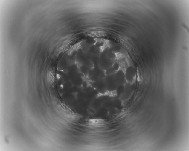 X0000100220371200806271732